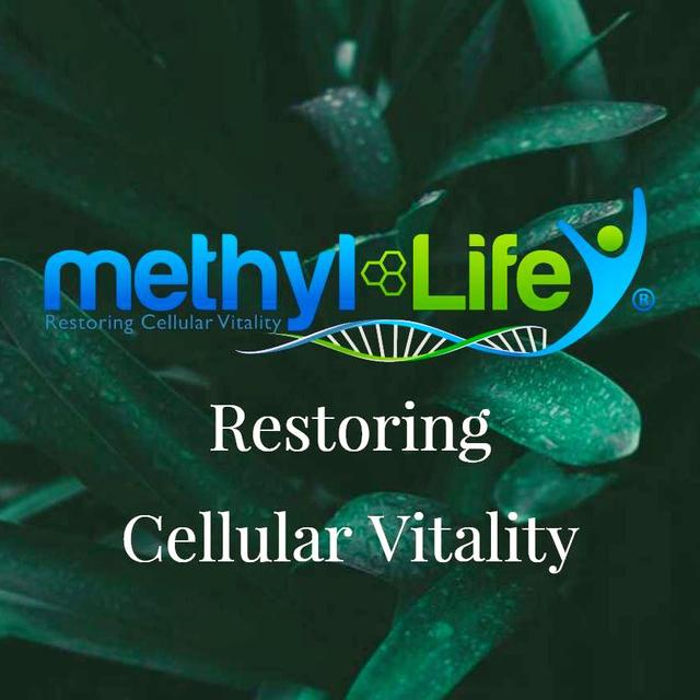 Methyl Life Discount Code